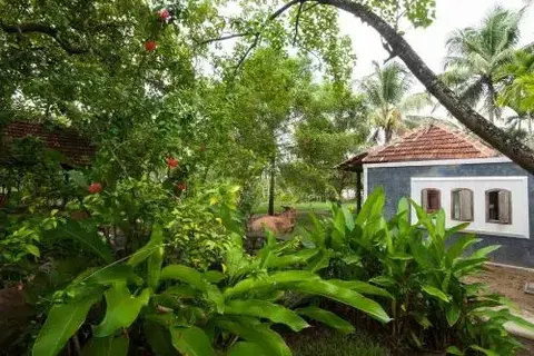Cherthala: Kayal Island Retreat