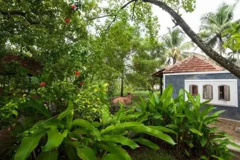 Cherthala: Kayal Island Retreat