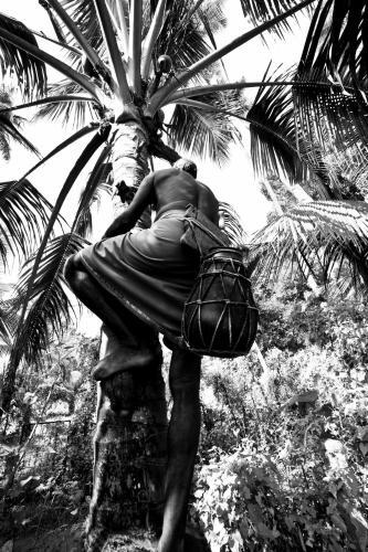 Kayal Island Retreat — фото 5