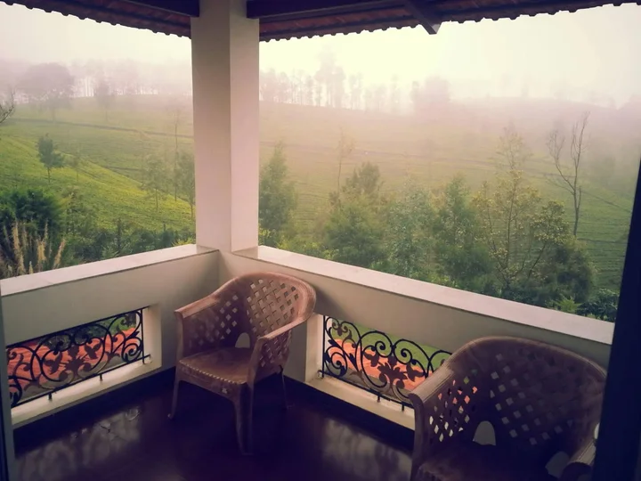 Ути: Green Nest Resort