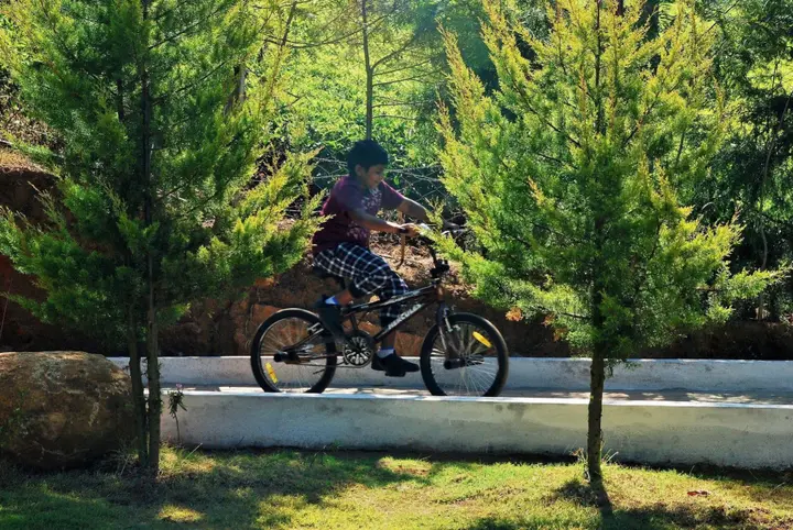 Ути: Green Nest Resort