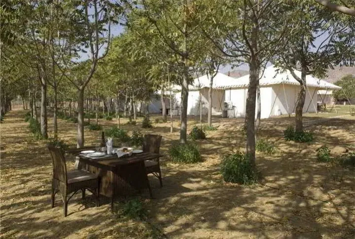 Аджмер: The Greenhouse Resort