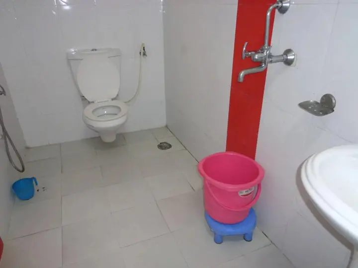 Гайя: Hotel Darbar International