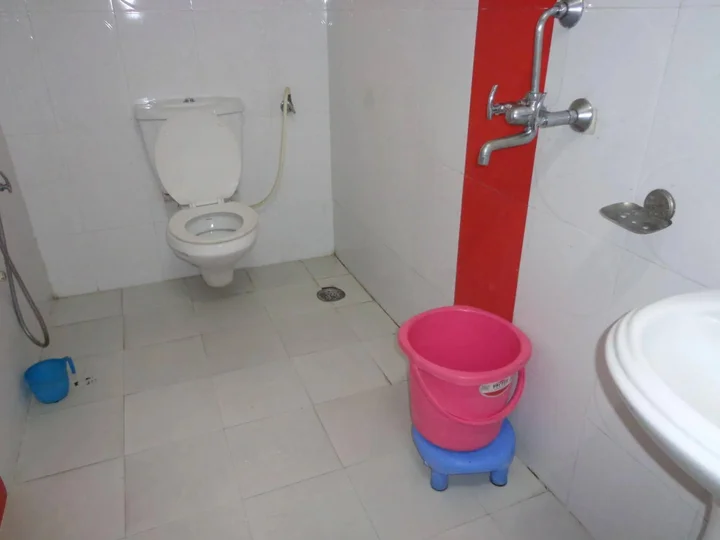 Гайя: Hotel Darbar International
