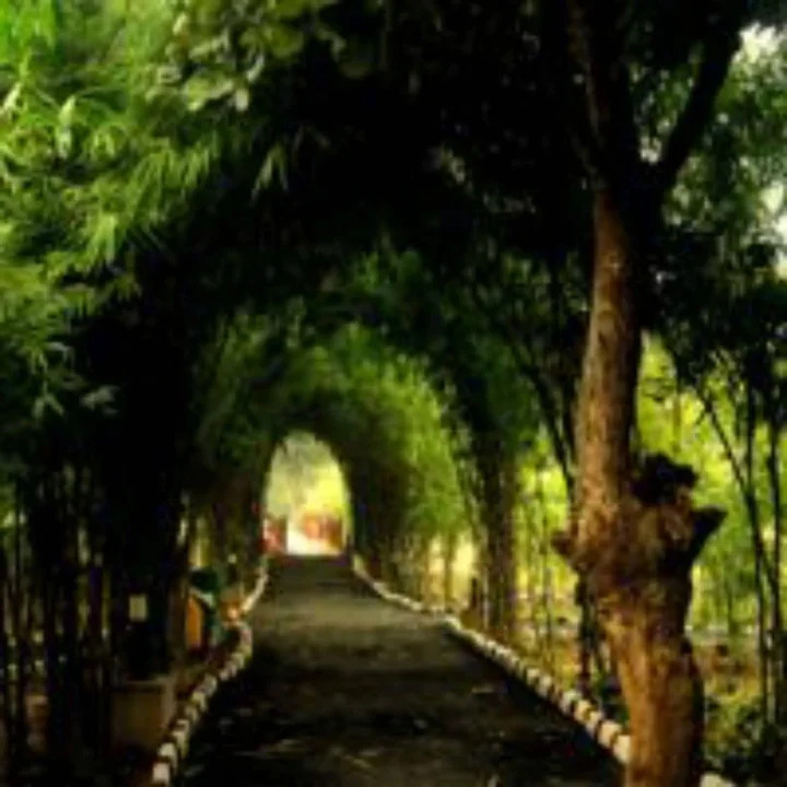 Панпата: Lemon Tree Wildlife Resort, Bandhavgarh