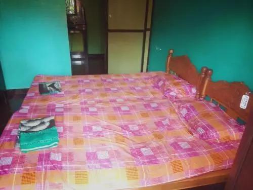 Южный Гоа: Ana Guest House