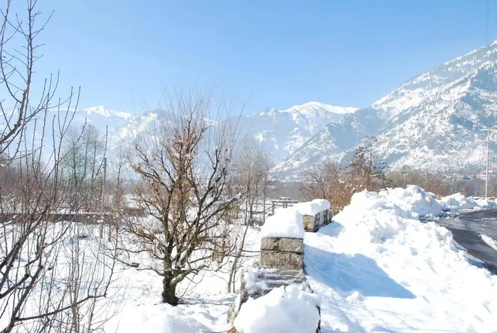 Наггар: Snow Touch Resort (Shri Nath Group)