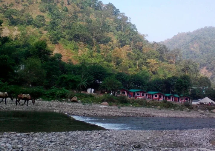 Ришикеш: River Valley Resort