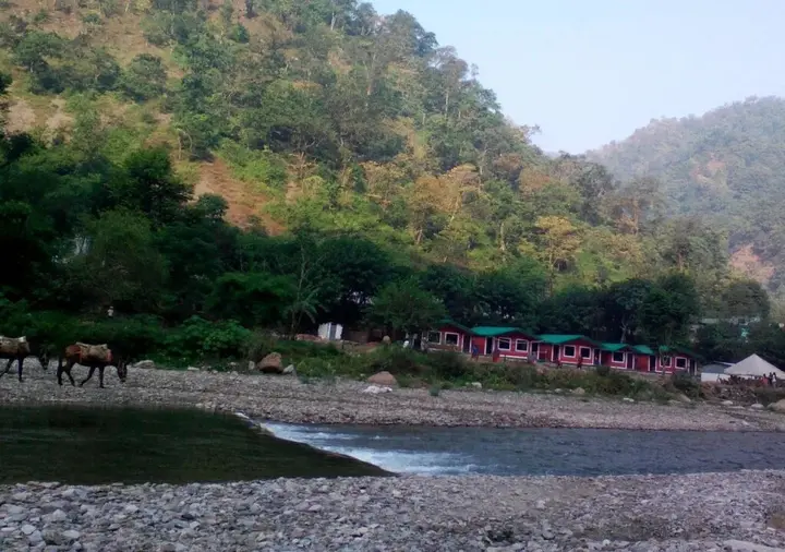 Ришикеш: River Valley Resort