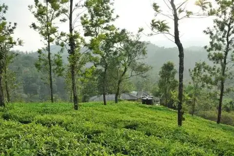Султан-Батери: Tea Garden Holiday Home