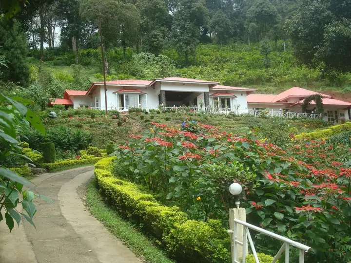 carousel image 4