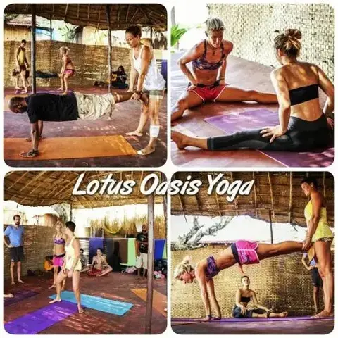 Южный Гоа: Lotus Oasis Beach Huts Resort