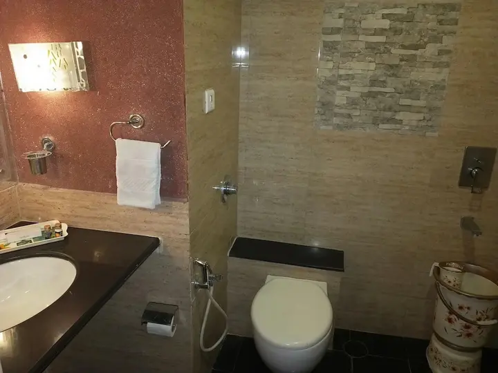Райпур: Hotel Venkatesh International