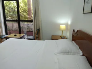 Нью-Дели: Hotel Palm Greens