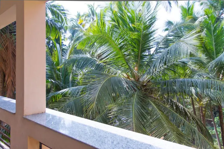 Арпора: Aqua de Goa