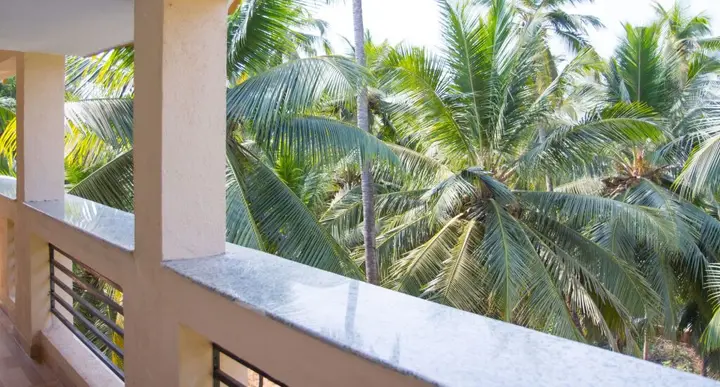 Арпора: Aqua de Goa