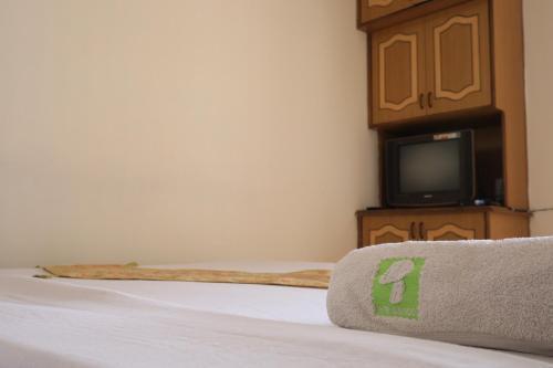 Казаули: Hotel Whitemushroom Kasauli