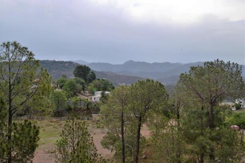 Казаули: Hotel Whitemushroom Kasauli