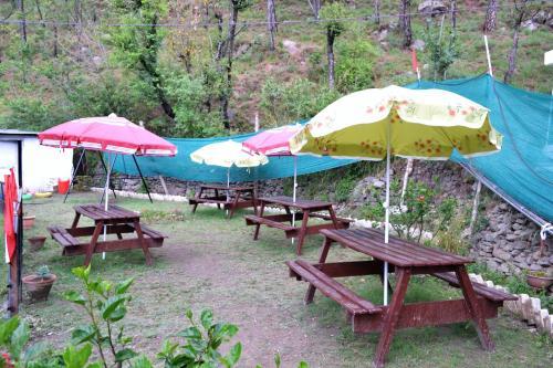 Казаули: Hotel Whitemushroom Kasauli