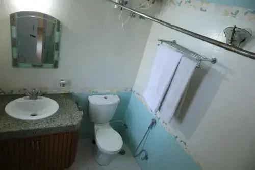 Казаули: Hotel Whitemushroom Kasauli