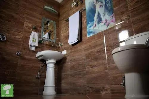 Казаули: Hotel Whitemushroom Kasauli
