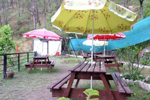 Казаули: Hotel Whitemushroom Kasauli