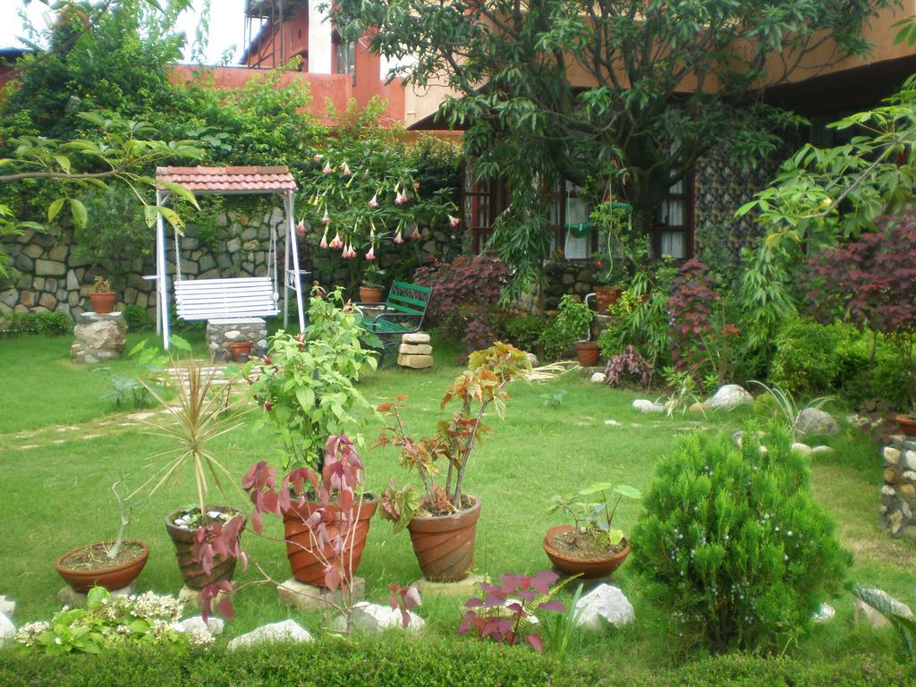 Массури: Oxygen Homestay