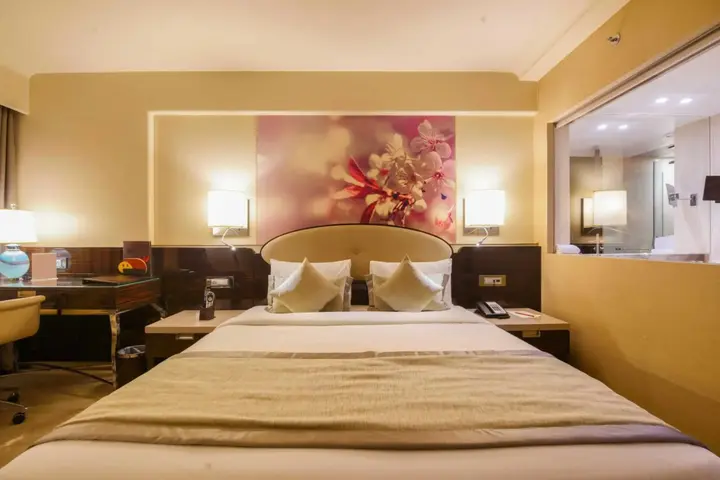 Мумбаи: Hotel Sai Palace Grand Malad