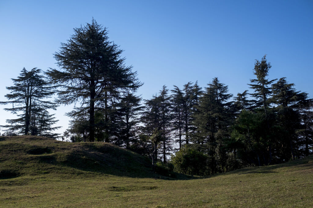 Массури: Mosaic Originals, Mussoorie