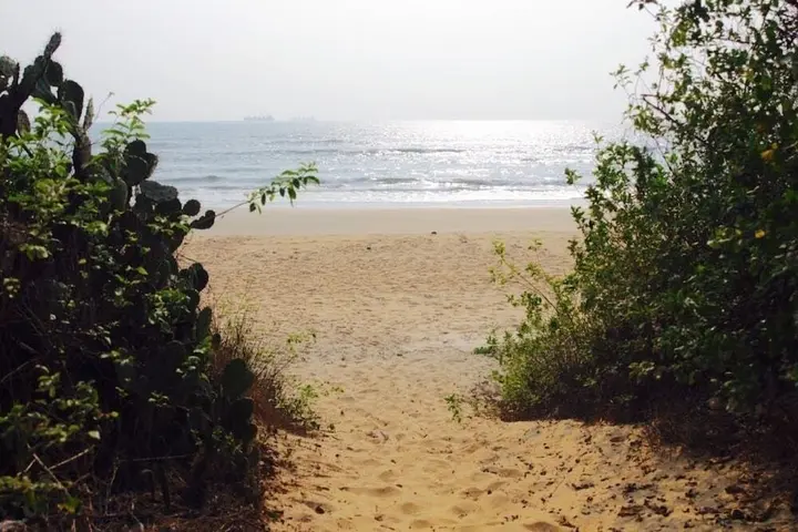 Кандолим: Kay's By The Sea