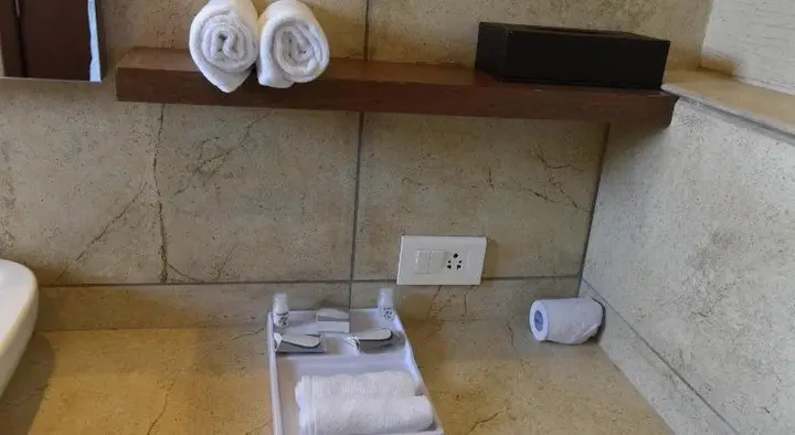 Ананд: Viz Park Hotel