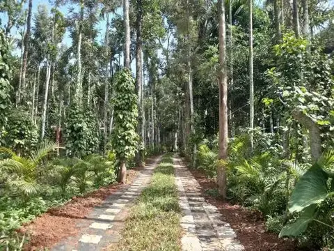Султан-Батери: Wayanad Lux Inn