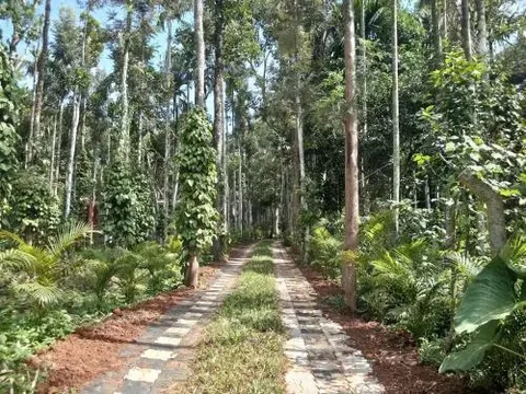 Султан-Батери: Wayanad Lux Inn