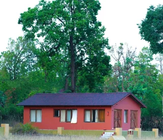 Тала: Bagh Sarai Resorts