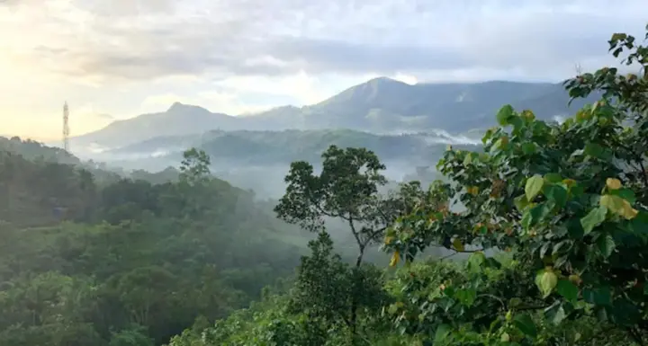 Велламундра: Wayanad Village Resort