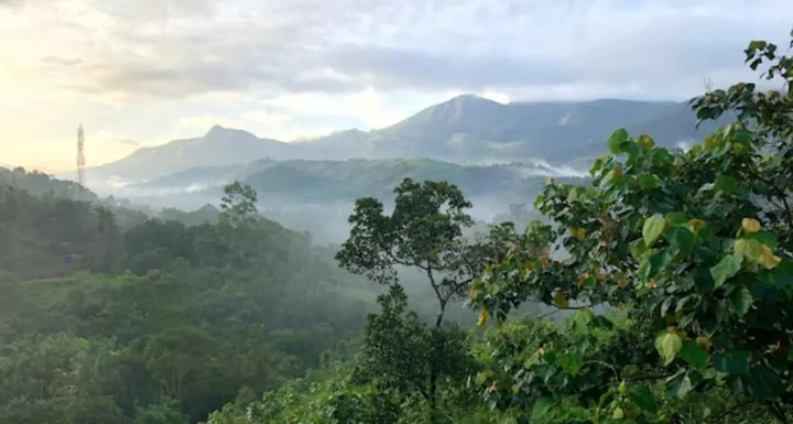 Велламундра: Wayanad Village Resort