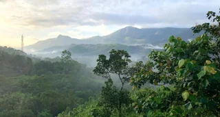 Велламундра: Wayanad Village Resort