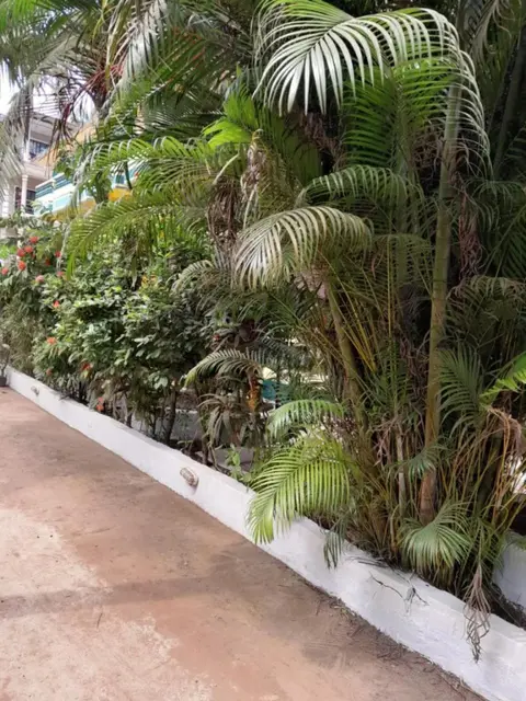 Арамбол: Ivon Guest House, Arambol Beach
