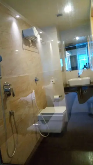 Вапи: Hotel The Blossom