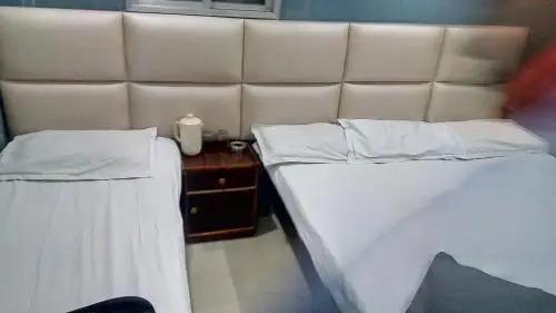 Дург: Hotel Neelam Lodge