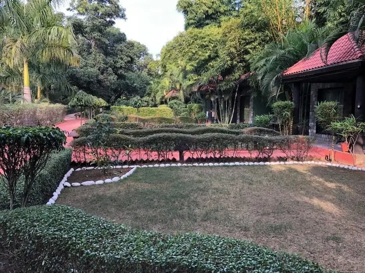 Наинитал: Jungle Leela Resort