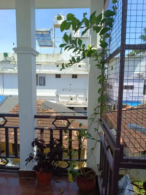 Коччи: samaria homestay