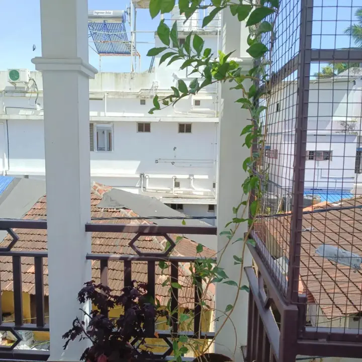 Коччи: samaria homestay