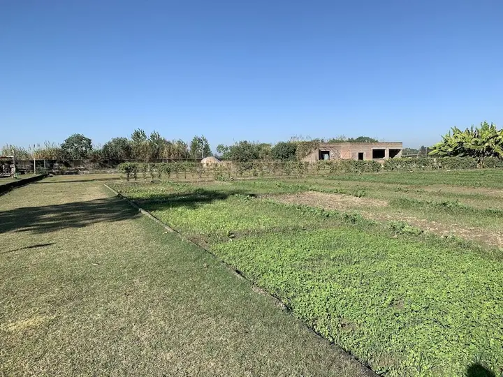 Нурпур: Anand @ The Satluj