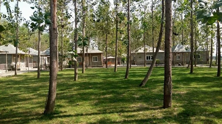 Нурпур: Anand @ The Satluj