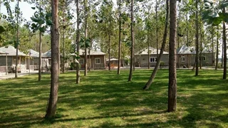 Нурпур: Anand @ The Satluj