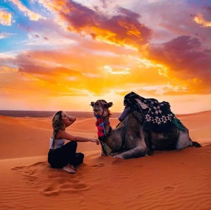 Джайсалмер: Desert OverNight Camp & Resort, Jaisalmer