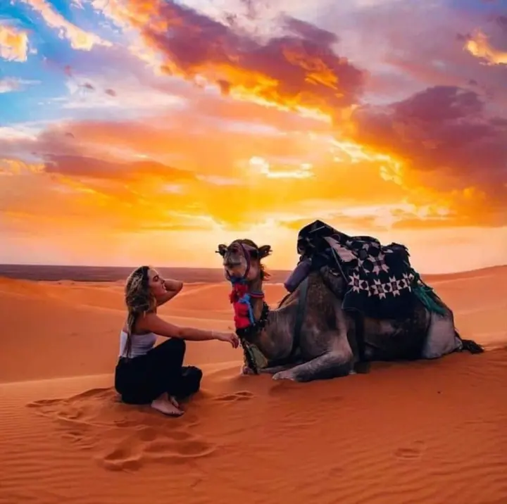 Джайсалмер: Desert OverNight Camp & Resort, Jaisalmer