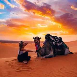 Джайсалмер: Desert OverNight Camp & Resort, Jaisalmer