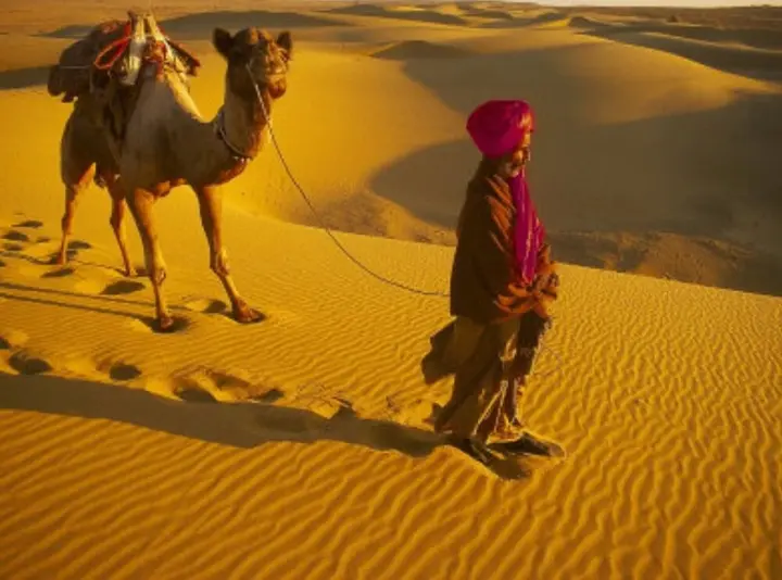 Джайсалмер: Desert OverNight Camp & Resort, Jaisalmer